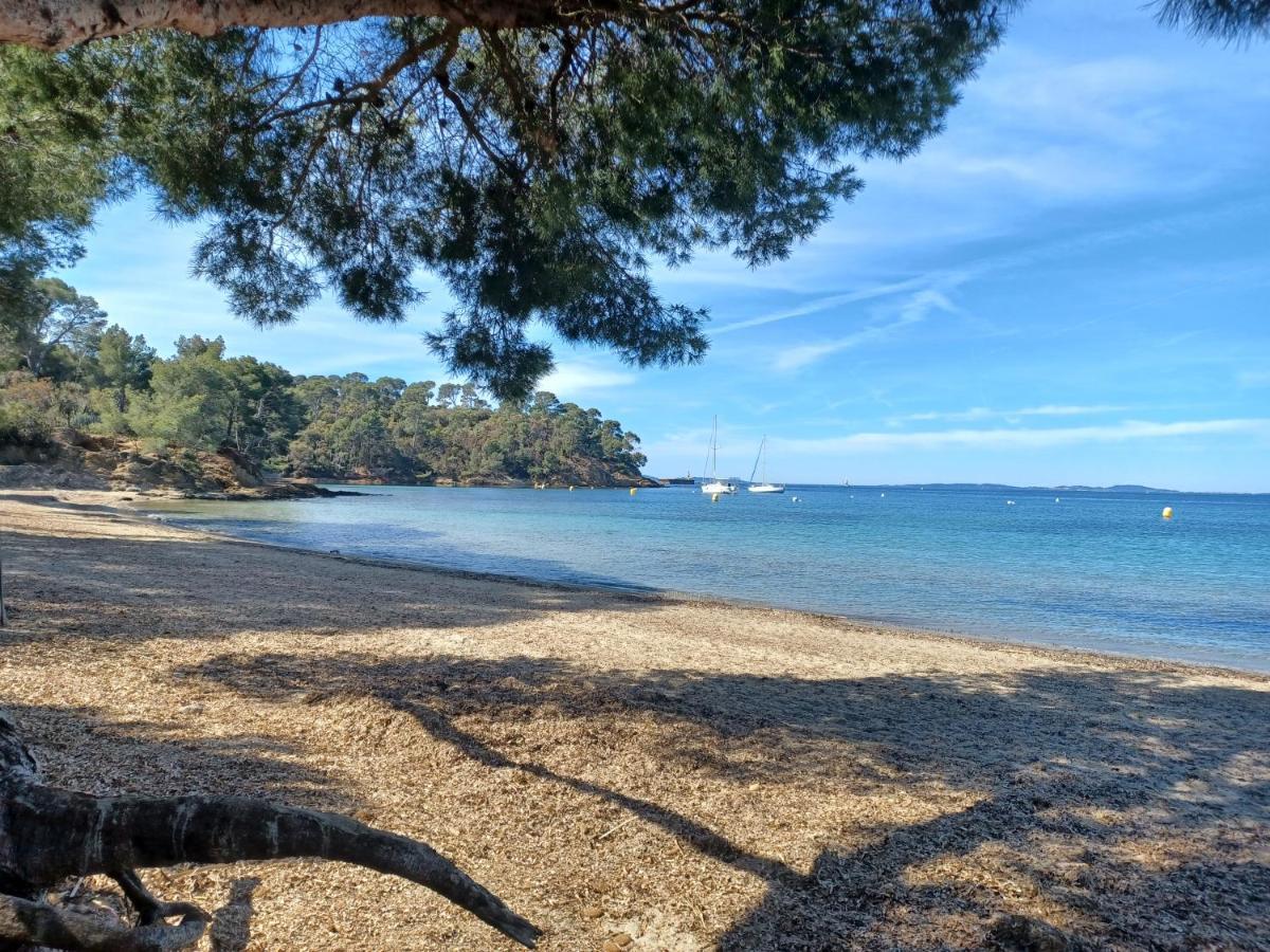 Escapade Lejlighed Toulon Eksteriør billede